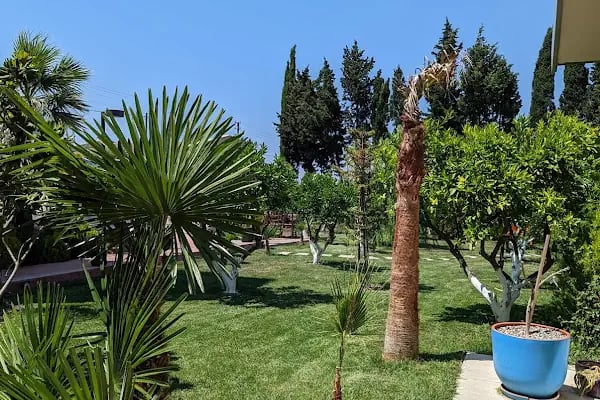 Revitalizeinturkey - Resim 9