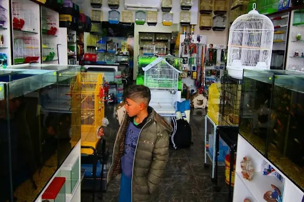 Seda Akvaryum &amp; Pet Shop - Resim 4