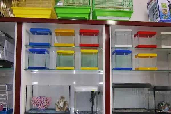 Seda Akvaryum &amp; Pet Shop - Resim 5
