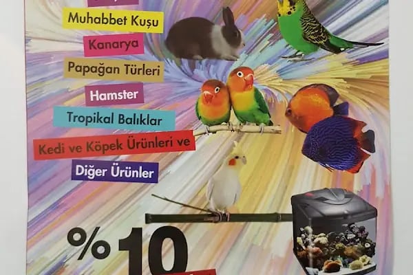 Seda Akvaryum &amp; Pet Shop - Resim 14