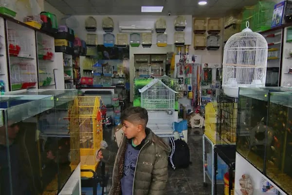 Seda Akvaryum &amp; Pet Shop - Resim 3