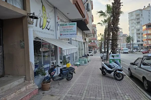 Bünyamin Kozak Muz Uzmanı Danışman - Resim 2