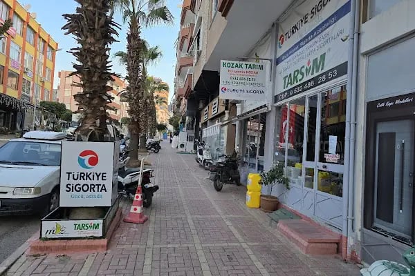 Bünyamin Kozak Muz Uzmanı Danışman - Resim 3