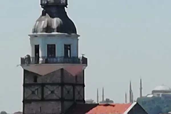 Çayırova Millet Bahçesi - Resim 5