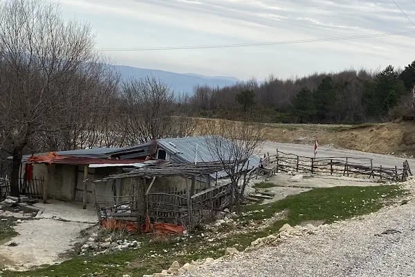 Ladik Kayak Merkezi - Resim 20