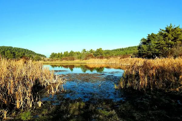 Aluçdağı Tabiat Parkı - Resim 20