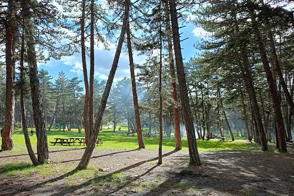 Aluçdağı Tabiat Parkı - Resim 5