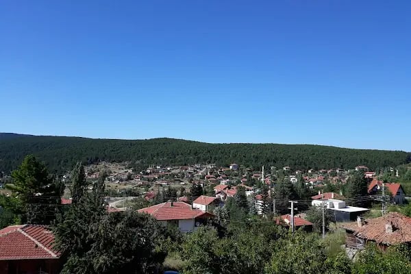 Aluçdağı Tabiat Parkı - Resim 13