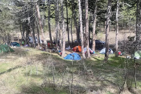 Aluçdağı Tabiat Parkı - Resim 14