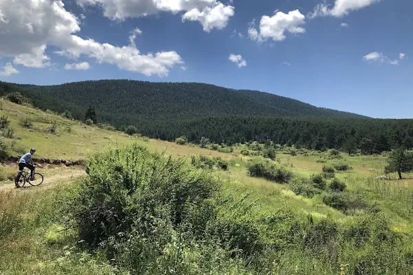 Aluçdağı Tabiat Parkı - Resim 7