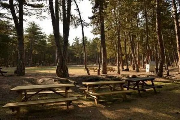 Aluçdağı Tabiat Parkı - Resim 6