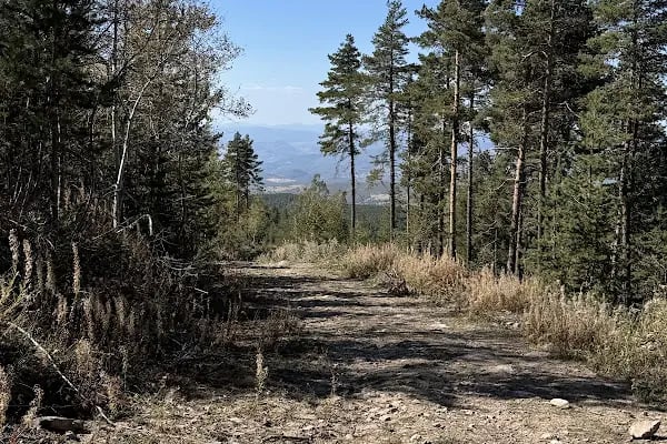 Aluçdağı Tabiat Parkı - Resim 2
