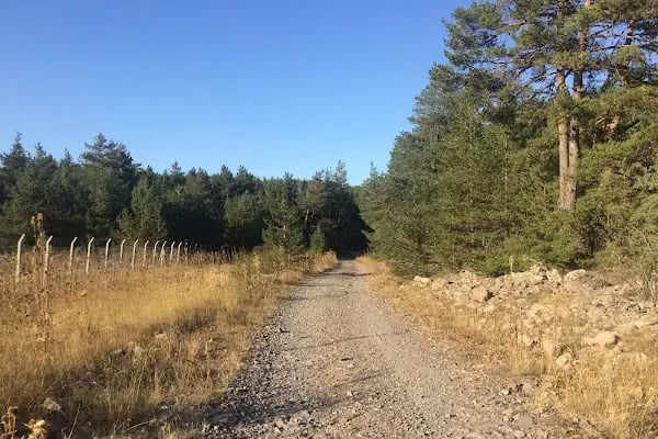 Aluçdağı Tabiat Parkı - Resim 3