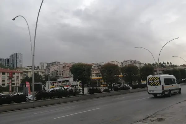 Shell-kupa Pazarlama - Resim 3