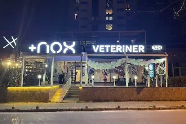 Nox Veteriner Kliniği | 7/24 Acil Veteriner | Bursa Veteriner | Nilüfer Veteriner | Nöbetçi Veteriner - Resim 19