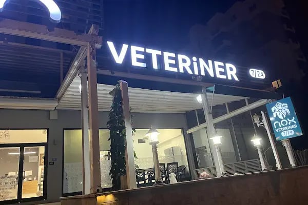 Nox Veteriner Kliniği | 7/24 Acil Veteriner | Bursa Veteriner | Nilüfer Veteriner | Nöbetçi Veteriner - Resim 4