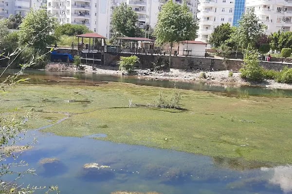 Toprak Riverstar Residence - Resim 7