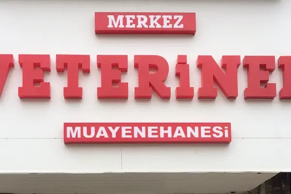 Merkez Veteriner Muayenehanesi - Resim 8