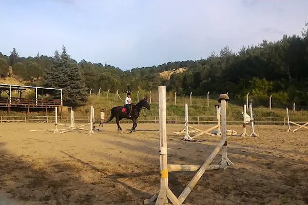 Süvari Binicilik - Resim 4