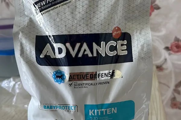 Vetrio Veteriner Kliniği - Resim 4