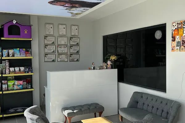 Anima Veteriner Kliniği - Resim 5