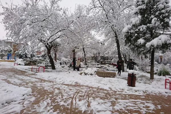 Çınar Ekmek Unlu Mamulleri - Resim 19
