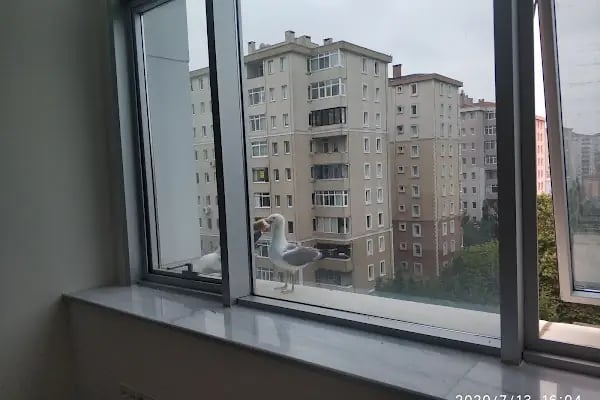 Ataşehir Sosyal Güvenlik Merkezi - Resim 19