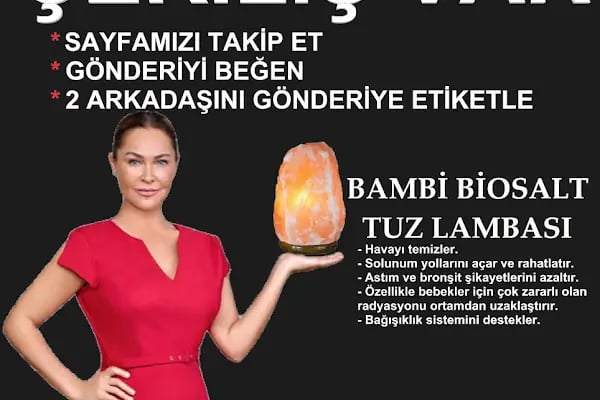 bambi YATAK MUZAFFER TİCARET ARNAVUTKÖY ŞUBESİ - Resim 19