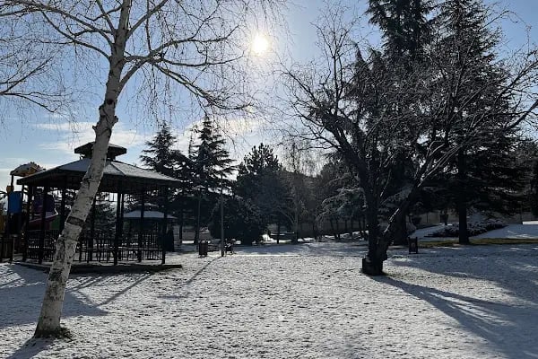Gülpınar Pazar Alanı - Resim 4