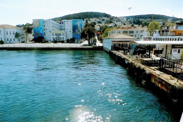 MSÜ Deniz Harp Okulu Heybeliada Yerleşkesi - Resim 2