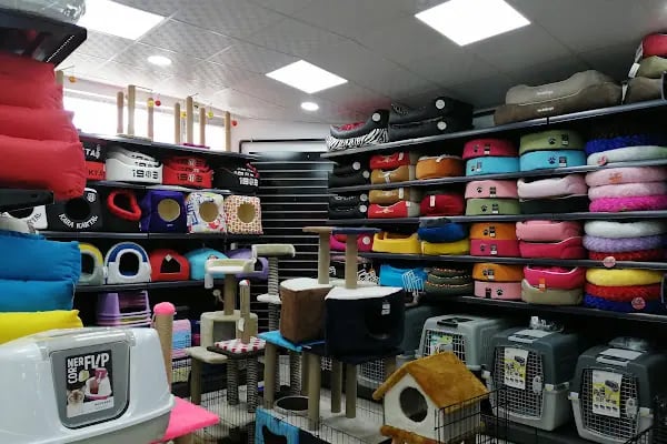 Pet Gross Gölbaşı - Resim 16
