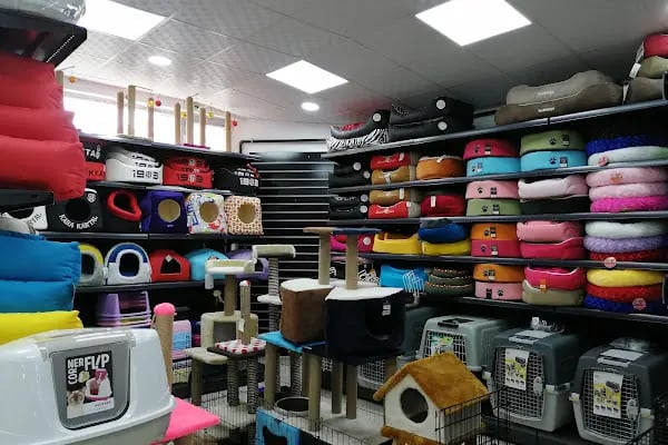 Pet Gross Gölbaşı - Resim 7