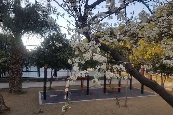 Özdemir Sabancı Parkı - Resim 17