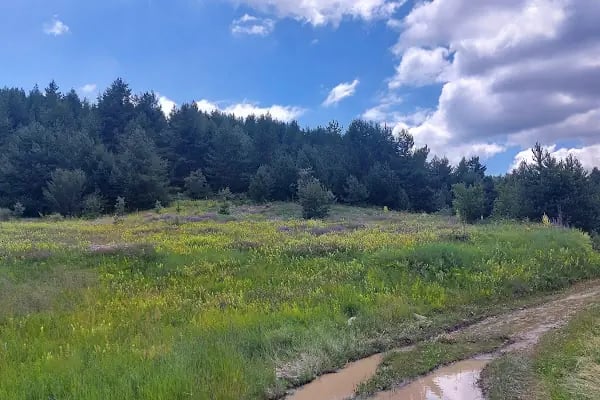 Şahinler Tabiat Parkı - Resim 3