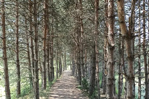 Şahinler Tabiat Parkı - Resim 10