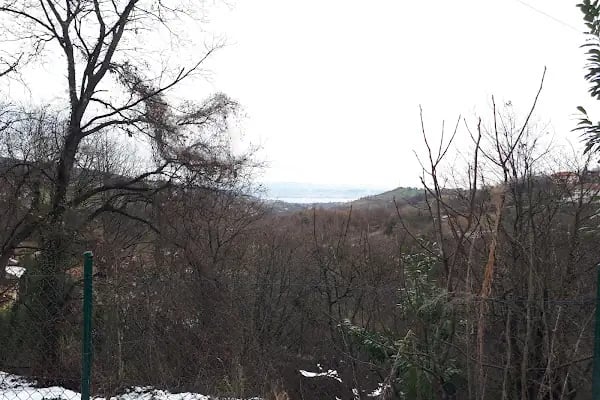 Bahçecik Beykoz Villaları C Mahallesi - Resim 19