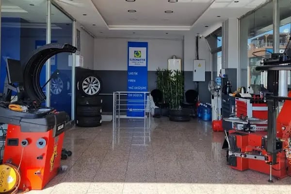 Michelin - Zey Lastik Euromaster - Resim 6