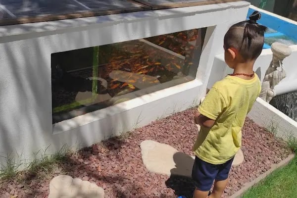 More Pet Shop & Kuaför (İstinye Park AVM karşısı ) - Resim 8