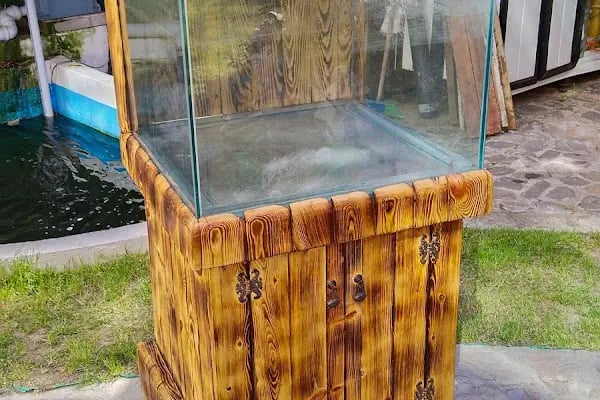 More Pet Shop & Kuaför (İstinye Park AVM karşısı ) - Resim 7