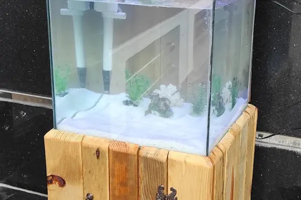More Pet Shop & Kuaför (İstinye Park AVM karşısı ) - Resim 13