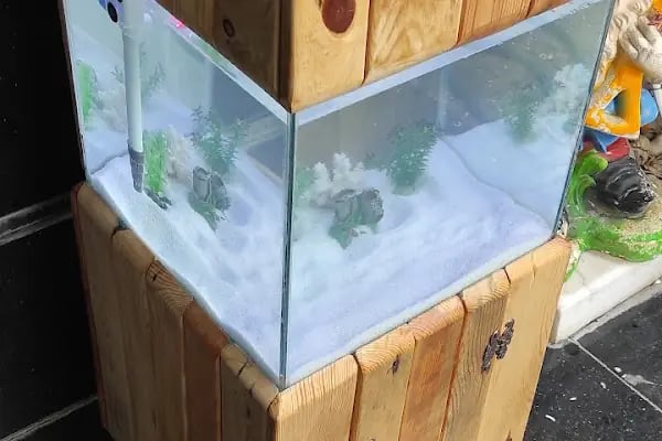 More Pet Shop & Kuaför (İstinye Park AVM karşısı ) - Resim 16