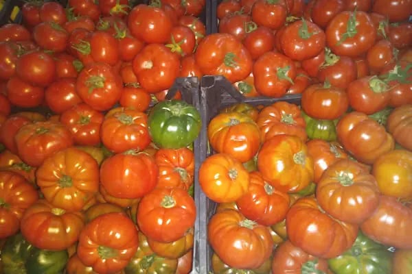 Hasbil Market - Resim 16
