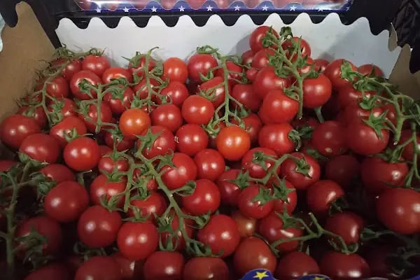 Hasbil Market - Resim 20
