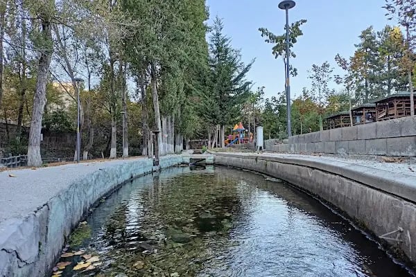 Belsos Horata Mesire Alanı - Resim 7