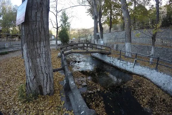 Belsos Horata Mesire Alanı - Resim 10