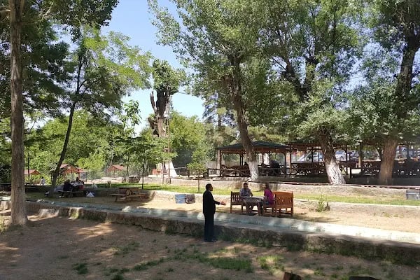 Belsos Horata Mesire Alanı - Resim 1