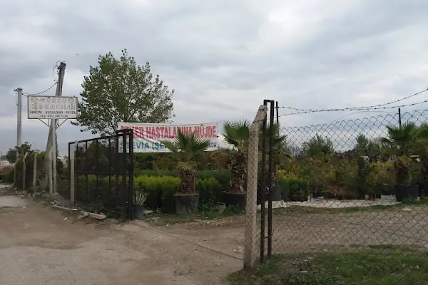 Gürsu Fidancılık - Resim 9