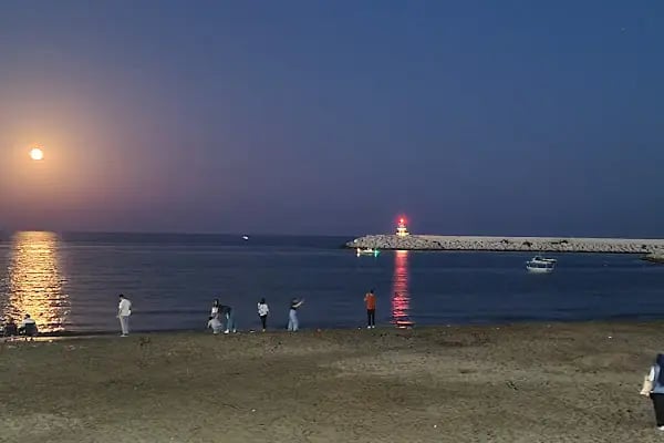 Mersin Tarsus OSB - Resim 15