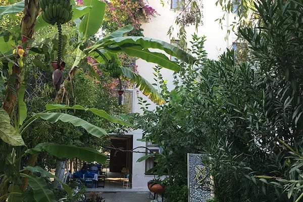 Hotel Dolphıne - Resim 4