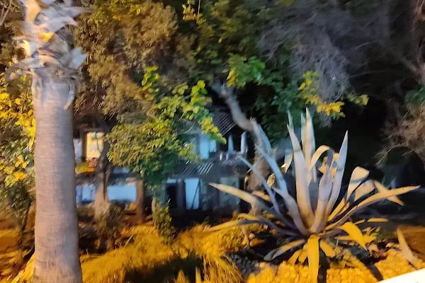 Hotel Dolphıne - Resim 19